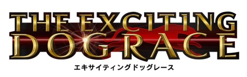 ���������꡼ No.006�Υ���ͥ������ / �ܳ�3D�����ɥå��졼��������֥� ���������ƥ��󥰥ɥå��졼���ס��ϥ󥲡���ˤƥƥ��ȥ����ӥ�����������