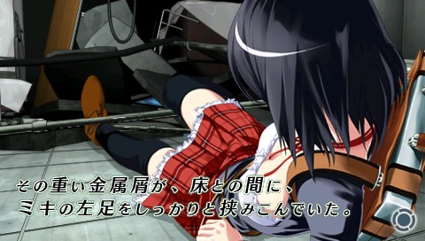 ꡼ No.006Υͥ / 5ͤξȥåץɥ٥㡼̩ΥեפDLǤо