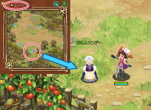 ꡼ No.003Υͥ / ֤ܤΥե󥿥׿򽸤ᡤäǷиͤ褦