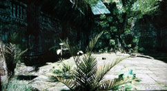 ꡼ No.007 | G2009WarRockȯDream ExecutionǿB2BꥢǡMAZEפȸƤФFPSȯ