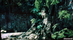 ꡼ No.008 | G2009WarRockȯDream ExecutionǿB2BꥢǡMAZEפȸƤФFPSȯ