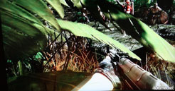 ꡼ No.014 | G2009WarRockȯDream ExecutionǿB2BꥢǡMAZEפȸƤФFPSȯ