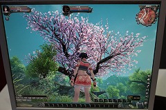 ꡼ No.007 | G20098˥ХŸȯɽ줿񻺤MMORPGζ-Loong-פȤϡץ⡼ࡼӡUp