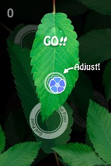 ꡼ No.007 | iPhoneϥϥɥiPhone/iPod touch򷹤ƿũ򱿤֥ѥAQUA FOREST 2פۿ