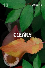 ꡼ No.009 | iPhoneϥϥɥiPhone/iPod touch򷹤ƿũ򱿤֥ѥAQUA FOREST 2פۿ