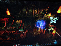 ꡼ No.009Υͥ / G2009mGameο饤󥲡VALIANTפξܺ٤ҲܤˤȾǯ٤о줫