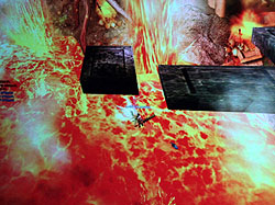 ꡼ No.010Υͥ / G2009mGameο饤󥲡VALIANTפξܺ٤ҲܤˤȾǯ٤о줫