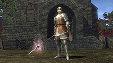 ꡼ No.005Υͥ / PS3ǡֿĹ˾ Online Сѥå פ䤬ȡѥåפǥץ쥤Ϥǽˤŵդ