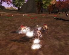 ꡼ No.003Υͥ / Eclipse of EDENסϤޤȥ饤륪ץƥѥ饤Ȥۿ