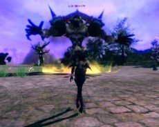 ꡼ No.001 | Eclipse of EDENץåץǡȤǡ֥쥤ɥܥƥפƥޥåפΥեɤо줹ʥ󥹥֤ȶ˹ά褦