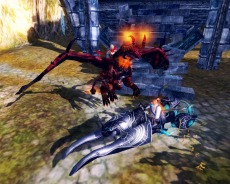 ꡼ No.010 | Eclipse of EDENסϥƥġ֥ɥ󥸥פʤɤ430˼1000ʬβݶݥȤ륫Хåڡ