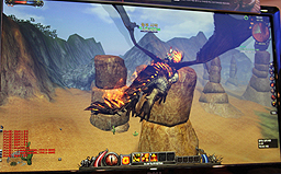 ꡼ No.005Υͥ / G-Star 2010Ф줿Ԥɥ饴νͭԤˡMGameοWar of DragonsפΥץ쥤ݡȡࡼӡǺ