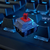 ꡼ No.004 | ROCCAT饨ȥ꡼Ծܡɤо졣ּȥ֥2