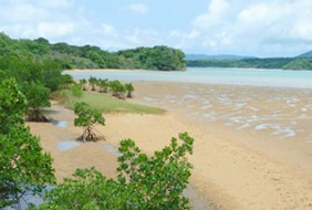 ���������꡼ No.003�Υ���ͥ������ / ������ư��Ϣư���륽������륲����֥ͥåȤǥޥ󥰥����֡פ�mixi���о�