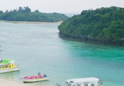 ���������꡼ No.005�Υ���ͥ������ / ������ư��Ϣư���륽������륲����֥ͥåȤǥޥ󥰥����֡פ�mixi���о�