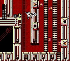 ꡼ No.008 | ֥åޥ10 褫ζҡסȤĤΤʤɥХꥨ˭ü狼4Ҳ