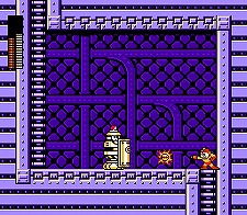 ꡼ No.010 | ֥åޥ10 褫ζҡס꡼ʤߤü˴ؤ³