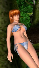 ꡼ No.011 | DEAD OR ALIVE ParadiseסȤߡɤȡȥꥵɤΥʥӥåȤǺܡͽŵ֤Ϥݥפβ