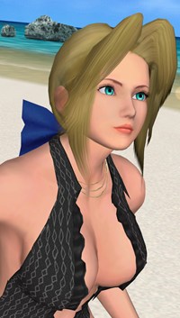 ꡼ No.007 | DEAD OR ALIVE Paradiseס֥ʡס֥ꥹƥס֥쥤եפΥӥåȤåŵξ