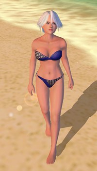 ꡼ No.010 | DEAD OR ALIVE Paradiseס֥ʡס֥ꥹƥס֥쥤եפΥӥåȤåŵξ