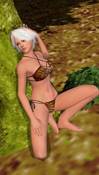 ꡼ No.011 | DEAD OR ALIVE Paradiseס֥ʡס֥ꥹƥס֥쥤եפΥӥåȤåŵξ