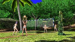 ꡼ No.002 | DEAD OR ALIVE ParadiseסӡХ졼ɤ󤱤ĥʤɡ˥塼åǳڤ֥ȥԥ롦ƥӥƥפܤΤ˺ޤ