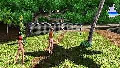 ꡼ No.004 | DEAD OR ALIVE ParadiseסӡХ졼ɤ󤱤ĥʤɡ˥塼åǳڤ֥ȥԥ롦ƥӥƥפܤΤ˺ޤ