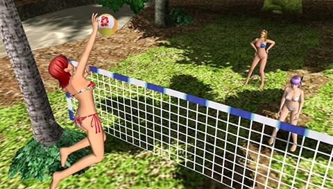 ꡼ No.001Υͥ / DEAD OR ALIVE Paradiseɤƥϥ㥮ޤ4Υƥӥƥࡼӡǥå