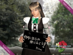 ꡼ No.001Υͥ / DEAD OR ALIVE Paradiseͻסɤˡ֤ߡо