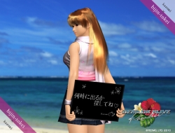 ꡼ No.002Υͥ / DEAD OR ALIVE Paradiseͻסɤˡ֤ߡо