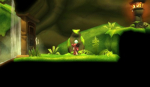 ꡼ No.005Υͥ / ˥åۿϤ줿Wii2ȥҲ𡣥ץ⡼ࡼӡ