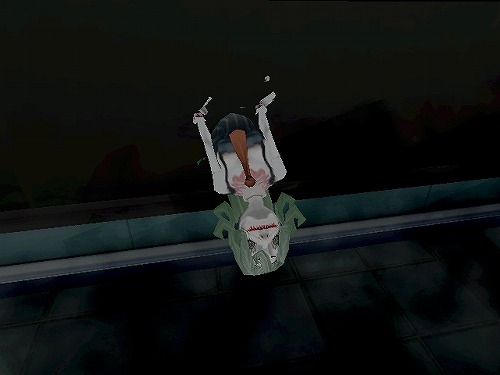 ꡼ No.021Υͥ / ˥åۿϤ줿Wii2ȥҲ𡣥ץ⡼ࡼӡ