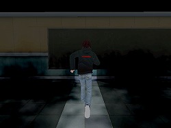 ꡼ No.022Υͥ / ˥åۿϤ줿Wii2ȥҲ𡣥ץ⡼ࡼӡ