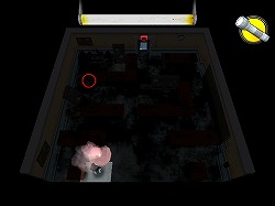 ꡼ No.032Υͥ / ˥åۿϤ줿Wii2ȥҲ𡣥ץ⡼ࡼӡ