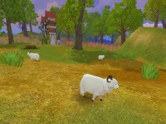 ꡼ No.005Υͥ / ܻԾˡȺƳȯɡPKѻߤϤν¤ʤɤܤMMORPGAILA Onlineȯɽݡ