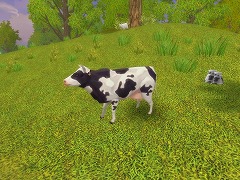 ꡼ No.006Υͥ / ܻԾˡȺƳȯɡPKѻߤϤν¤ʤɤܤMMORPGAILA Onlineȯɽݡ