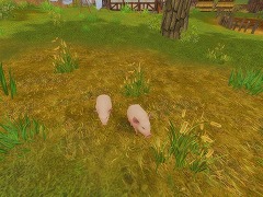 ꡼ No.007Υͥ / ܻԾˡȺƳȯɡPKѻߤϤν¤ʤɤܤMMORPGAILA Onlineȯɽݡ