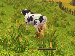 ꡼ No.003Υͥ / եӥͽοMMORPGAILA Onlineסиͤ롤¿̤ƥҲ