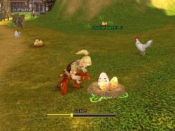 ꡼ No.005Υͥ / եӥͽοMMORPGAILA Onlineסиͤ롤¿̤ƥҲ