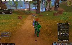 ꡼ No.006 | ɥȥ餳ΰ¿MMORPGAILA Onlineθݡ