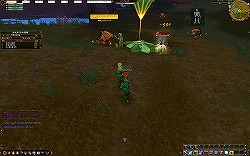 ꡼ No.007 | ɥȥ餳ΰ¿MMORPGAILA Onlineθݡ