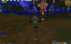 ꡼ No.008 | ɥȥ餳ΰ¿MMORPGAILA Onlineθݡ