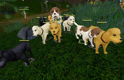 ���������꡼ No.009�Υ���ͥ������ / ��AILA Online������ʪ�䥳�����塼��ʤɽ��¤Υ��åץǡ��ȼ»�