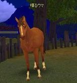 ���������꡼ No.017�Υ���ͥ������ / ��AILA Online������ʪ�䥳�����塼��ʤɽ��¤Υ��åץǡ��ȼ»�