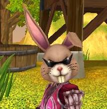 ���������꡼ No.019�Υ���ͥ������ / ��AILA Online������ʪ�䥳�����塼��ʤɽ��¤Υ��åץǡ��ȼ»�