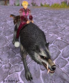 ���������꡼ No.025�Υ���ͥ������ / ��AILA Online������ʪ�䥳�����塼��ʤɽ��¤Υ��åץǡ��ȼ»�