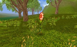 ꡼ No.014Υͥ / Aila Onlineס722˼ͽοϰ֥פɲþ¿SSǿ󥹥λѤǧ褦