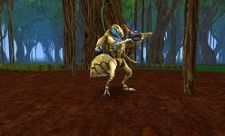 ꡼ No.022Υͥ / Aila Onlineס722˼ͽοϰ֥פɲþ¿SSǿ󥹥λѤǧ褦