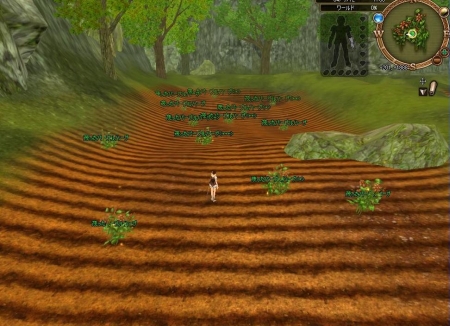 画像ギャラリー No.010のサムネイル画像 / 「AILA Online」が変わる。日本からの要望を取り入れた,大幅リニューアルを近日実施