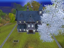 ꡼ No.020 | AILAס1125Ρȥϥ󥰥ƥɤƤ